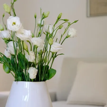 Lisbon City Villa Lisboa